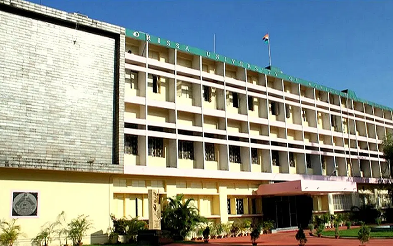 College of Veterinary and Animal Science